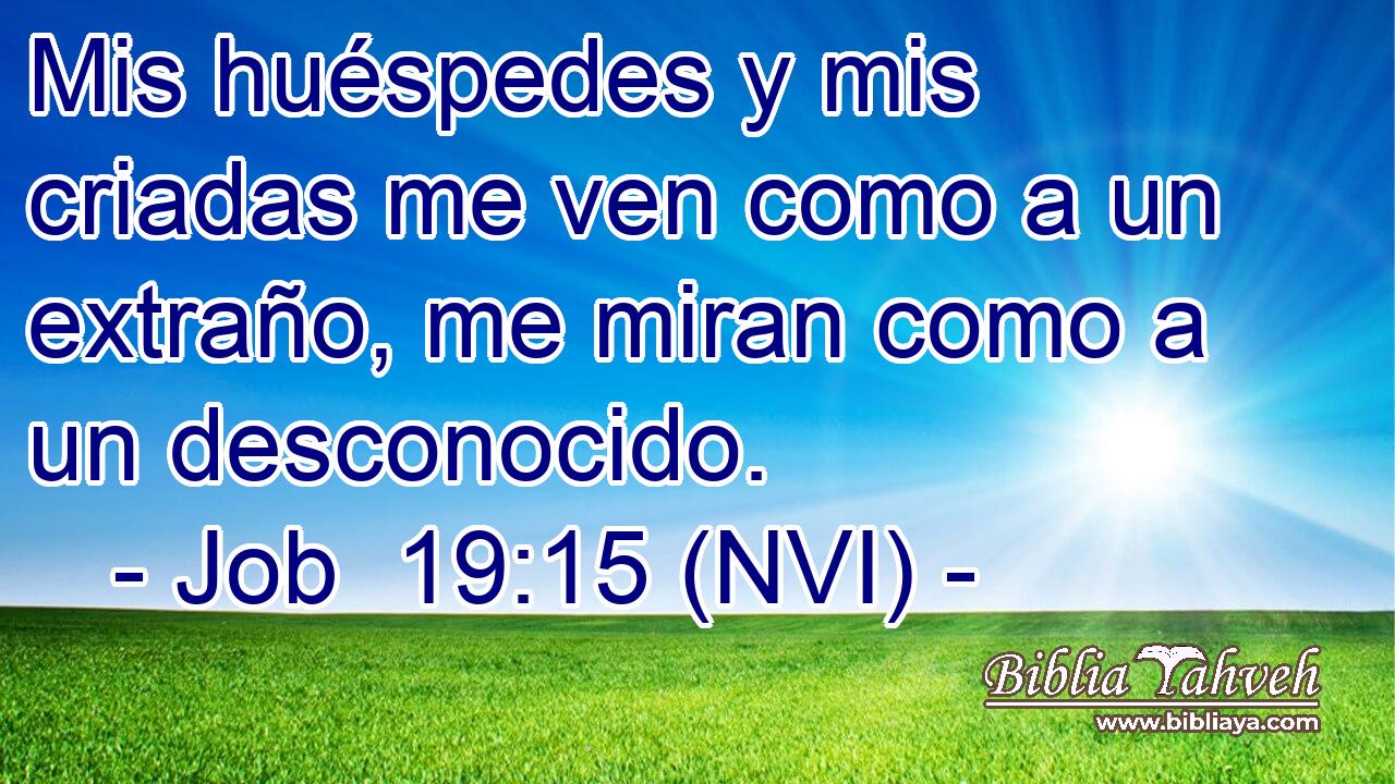  Mis huéspedes y mis criadas me ven como a un extraño, me miran como a un desconocido. 