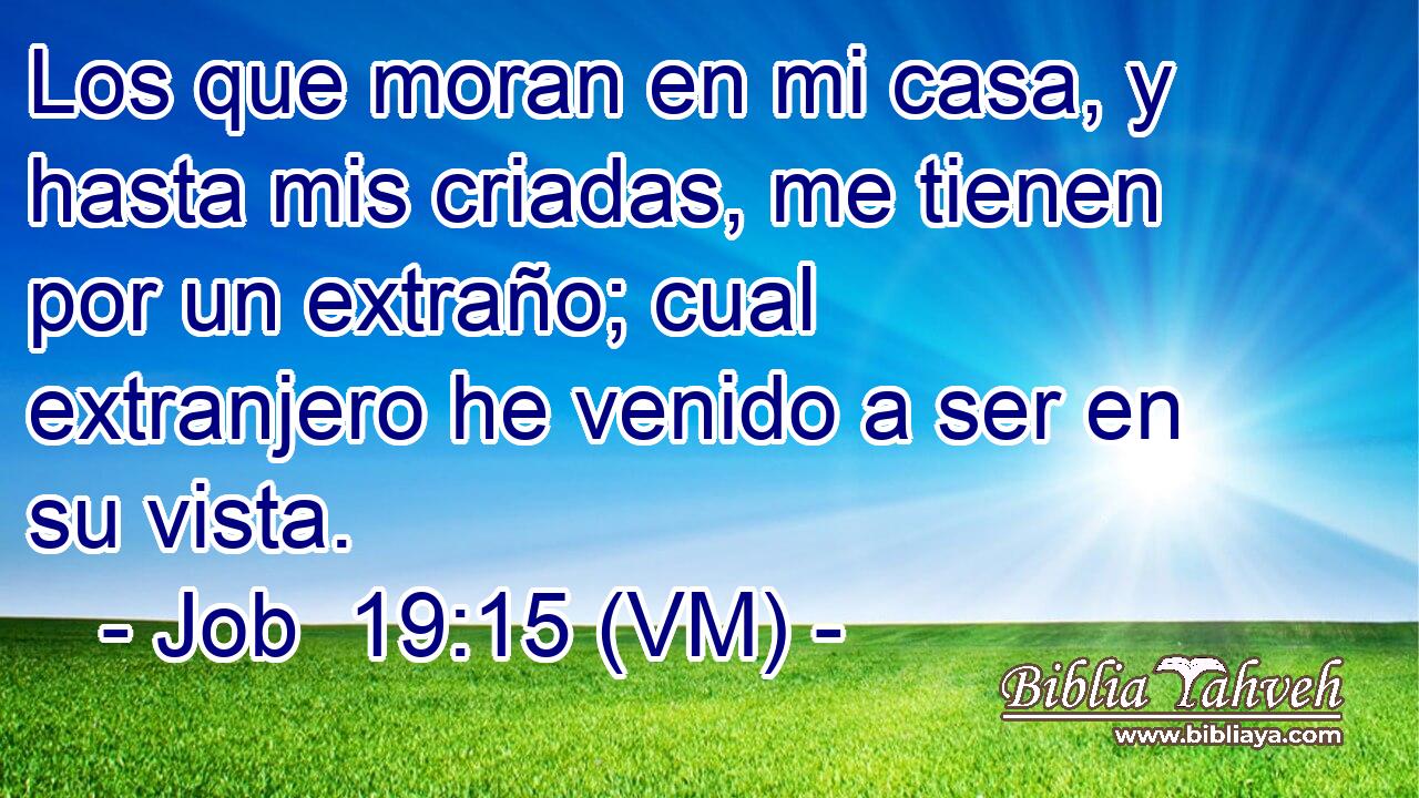  Los que moran en mi casa, y hasta mis criadas, me tienen por un extraño; cual extranjero he venido a ser en su vista. 