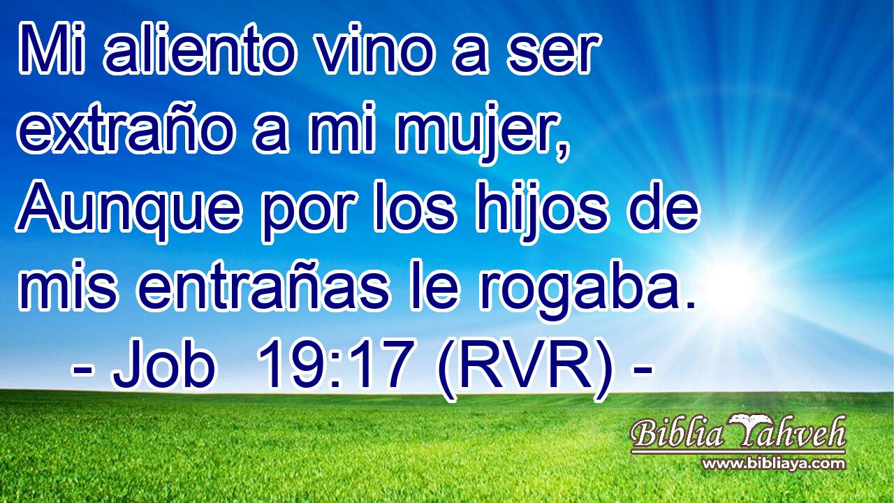 Mi aliento vino a ser extraño a mi mujer, Aunque por los hijos de mis entrañas le rogaba.