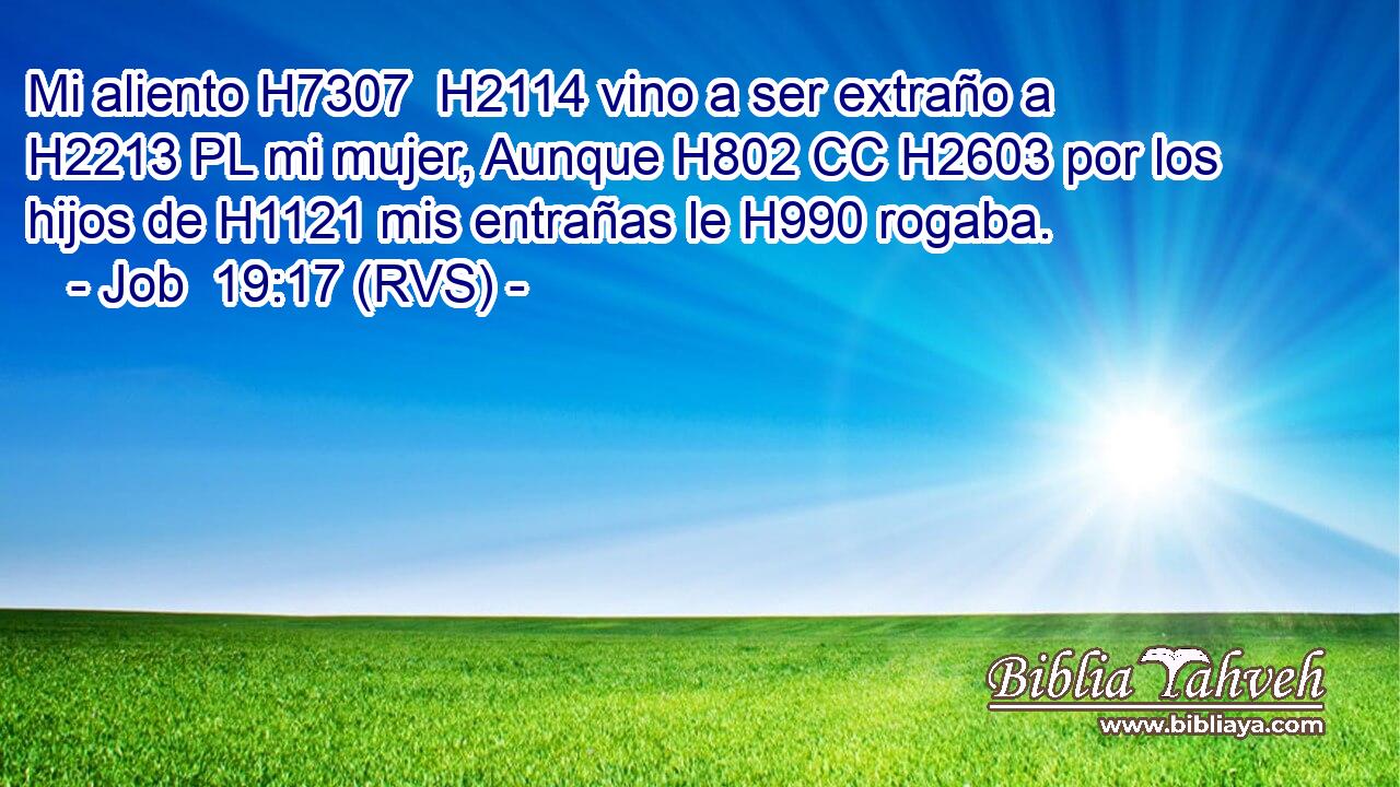 Mi aliento H7307  H2114 vino a ser extraño a H2213 PL mi mujer, Aunque H802 CC H2603 por los hijos de H1121 mis entrañas le H990 rogaba. 