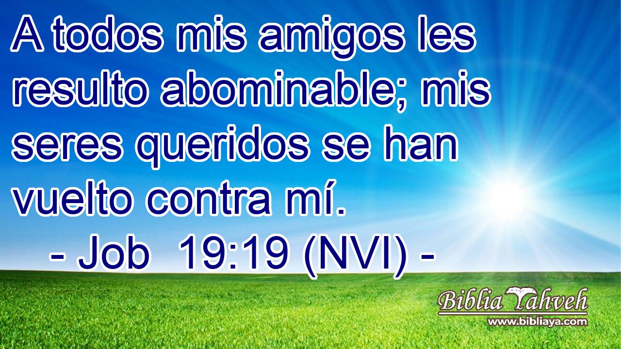  A todos mis amigos les resulto abominable; mis seres queridos se han vuelto contra mí. 