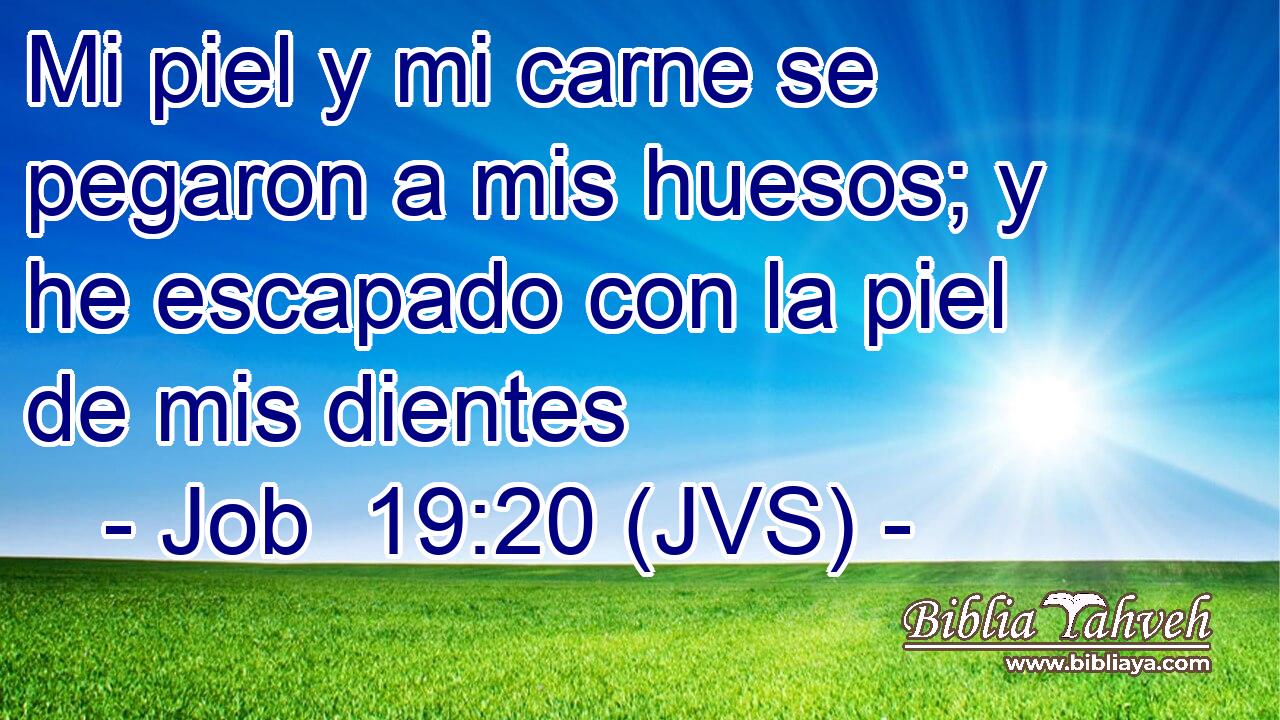 Mi piel y mi carne se pegaron a mis huesos; y he escapado con la piel de mis dientes