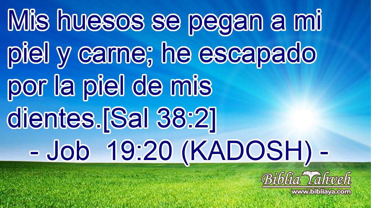  Mis huesos se pegan a mi piel y carne; he escapado por la piel de mis dientes.[Sal 38:2] 