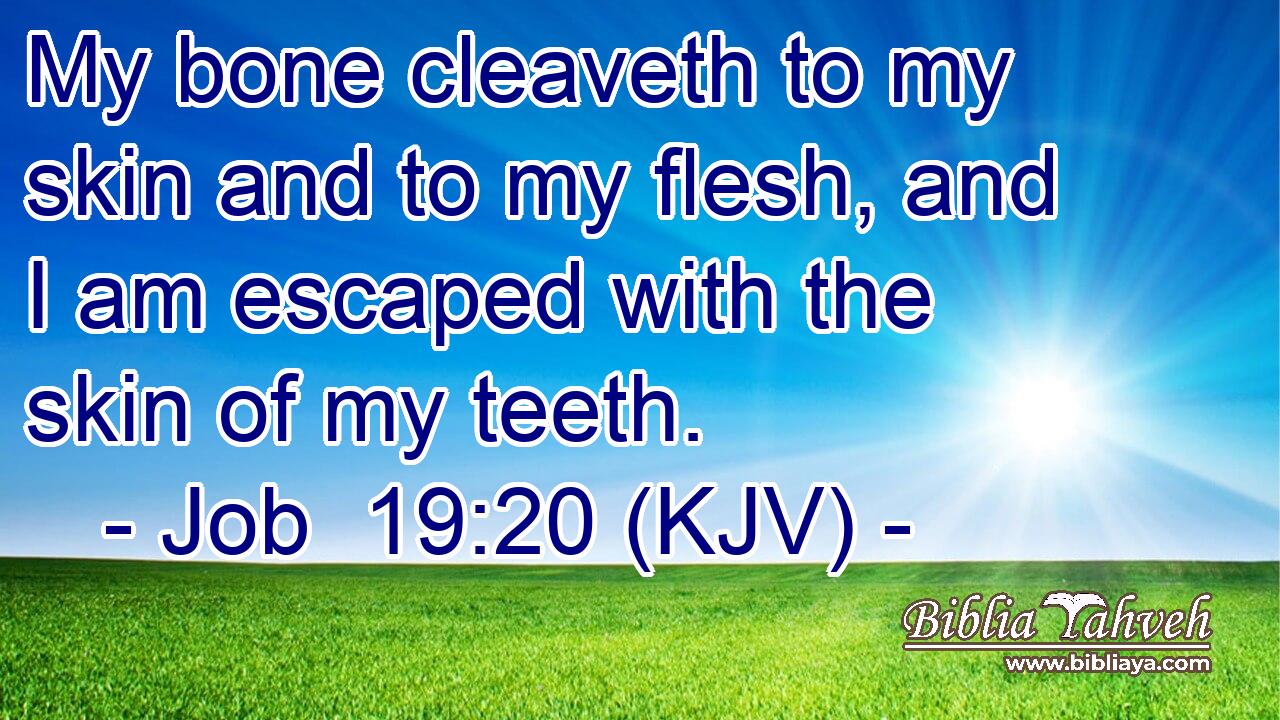 My bone cleaveth to my skin and to my flesh, and I am escaped with the skin of my teeth.