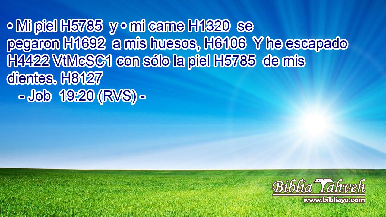 • Mi piel H5785  y • mi carne H1320  se pegaron H1692  a mis huesos, H6106  Y he escapado H4422 VtMcSC1 con sólo la piel H5785  de mis dientes. H8127  