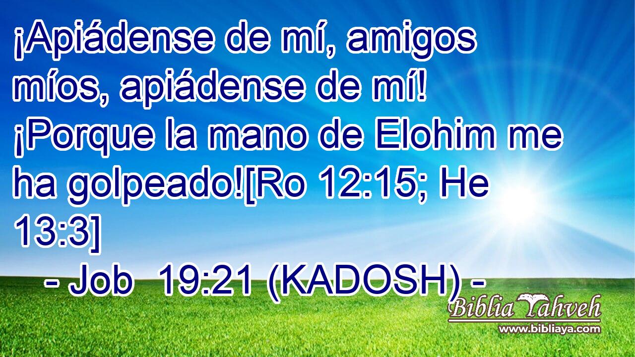  ¡Apiádense de mí, amigos míos, apiádense de mí! ¡Porque la mano de Elohim me ha golpeado![Ro 12:15; He 13:3] 