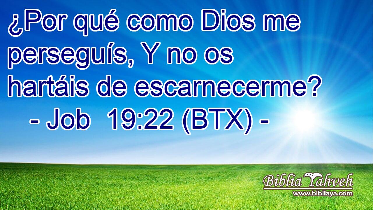 ¿Por qué como Dios me perseguís, Y no os hartáis de escarnecerme?