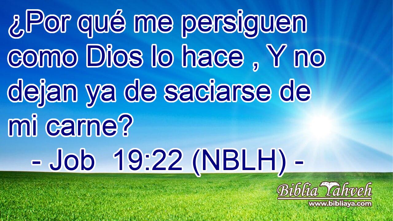  ¿Por qué me persiguen como Dios lo hace , Y no dejan ya de saciarse de mi carne? 