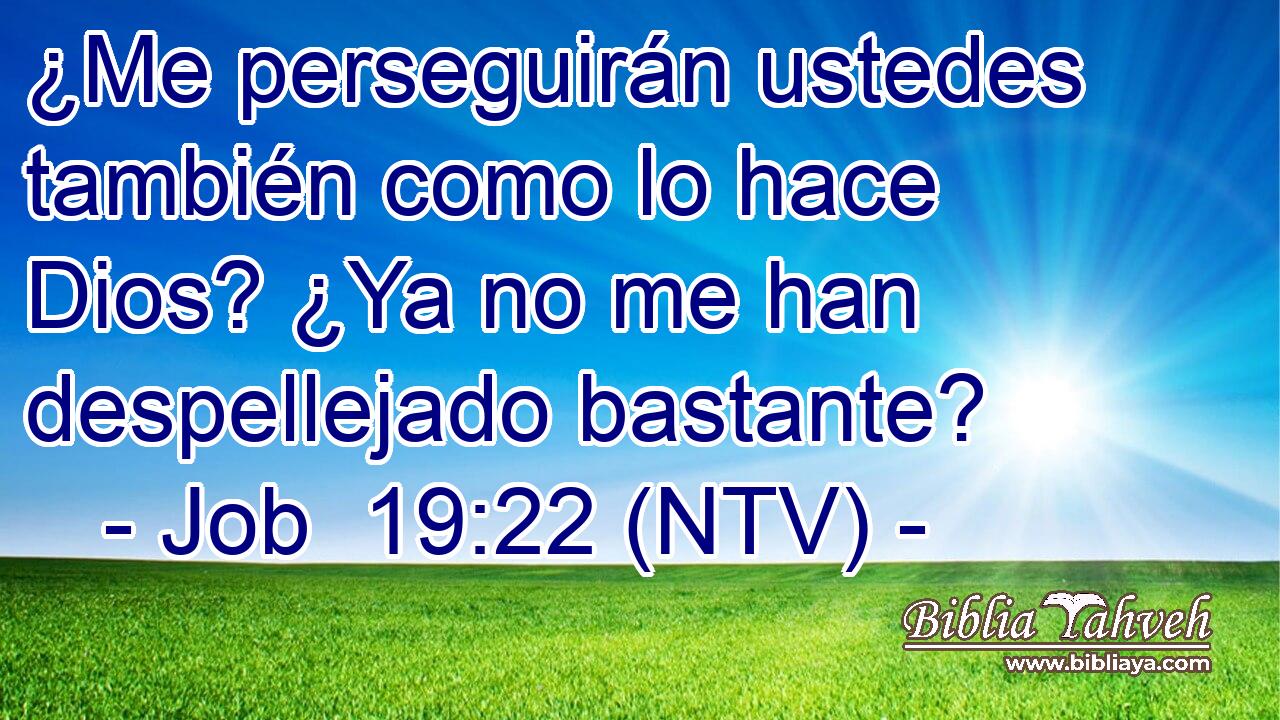 ¿Me perseguirán ustedes también como lo hace Dios? ¿Ya no me han despellejado bastante?
