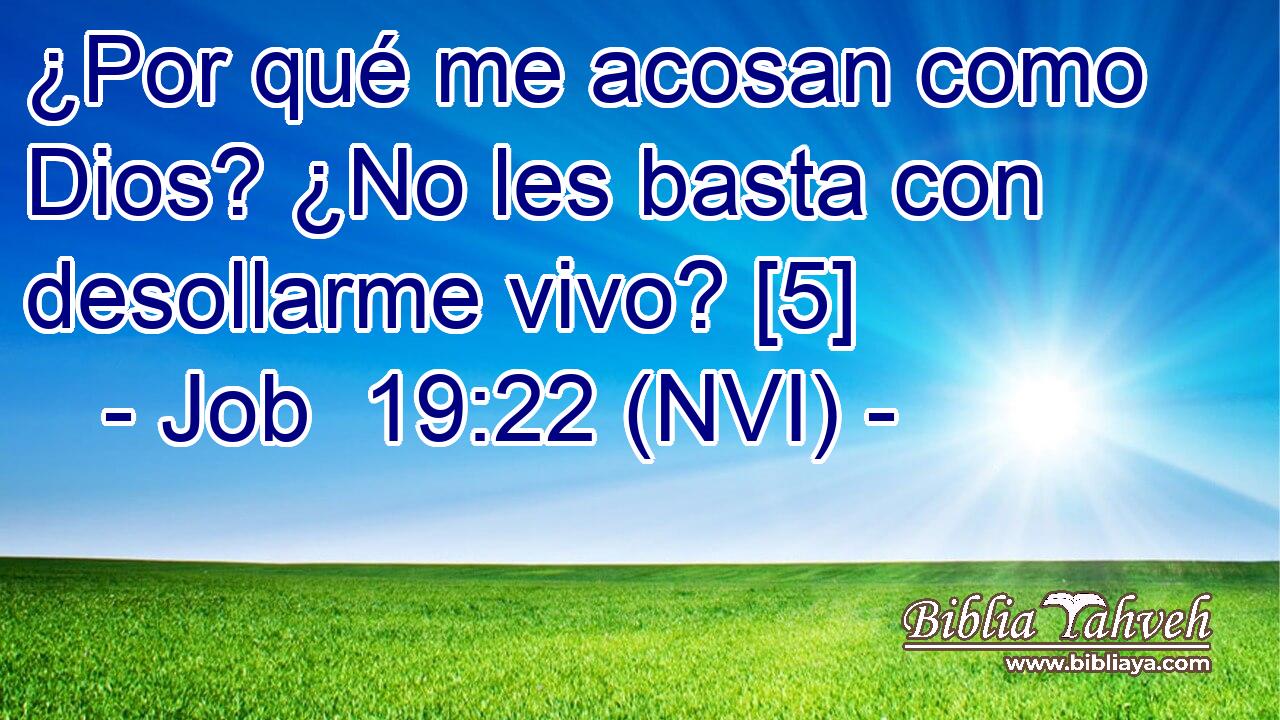  ¿Por qué me acosan como Dios? ¿No les basta con desollarme vivo? [5] 