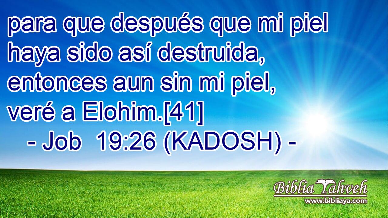  para que después que mi piel haya sido así destruida, entonces aun sin mi piel, veré a Elohim.[41] 