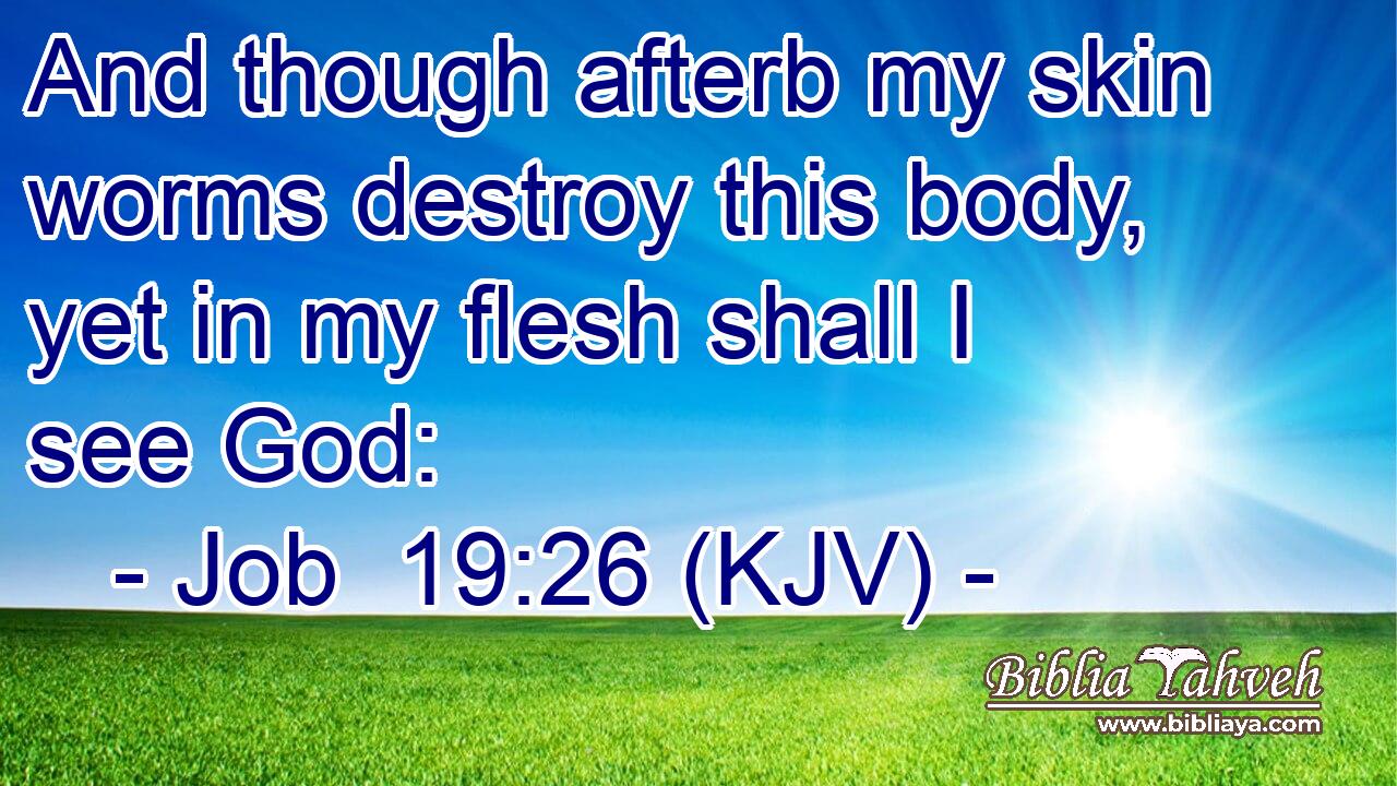 And though afterb my skin worms destroy this body, yet in my flesh shall I see God: