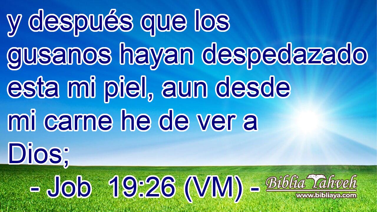  y después que los gusanos hayan despedazado esta mi piel, aun desde mi carne he de ver a Dios; 