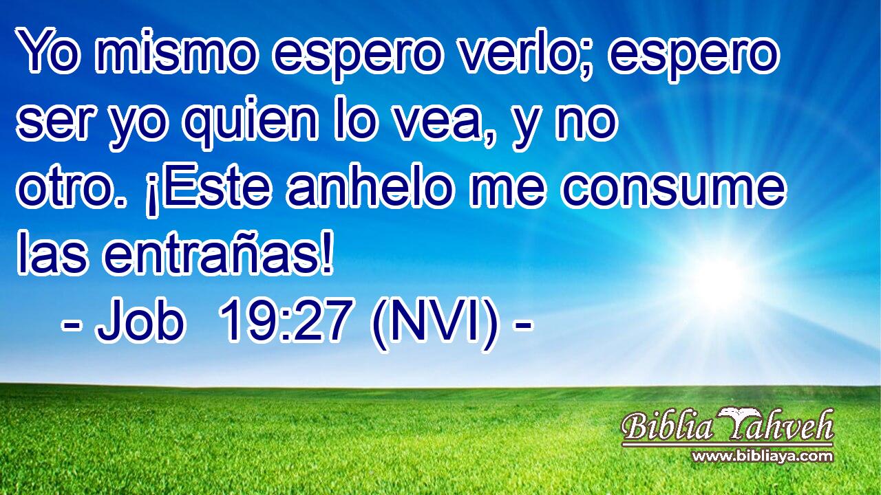  Yo mismo espero verlo; espero ser yo quien lo vea, y no otro. ¡Este anhelo me consume las entrañas! 