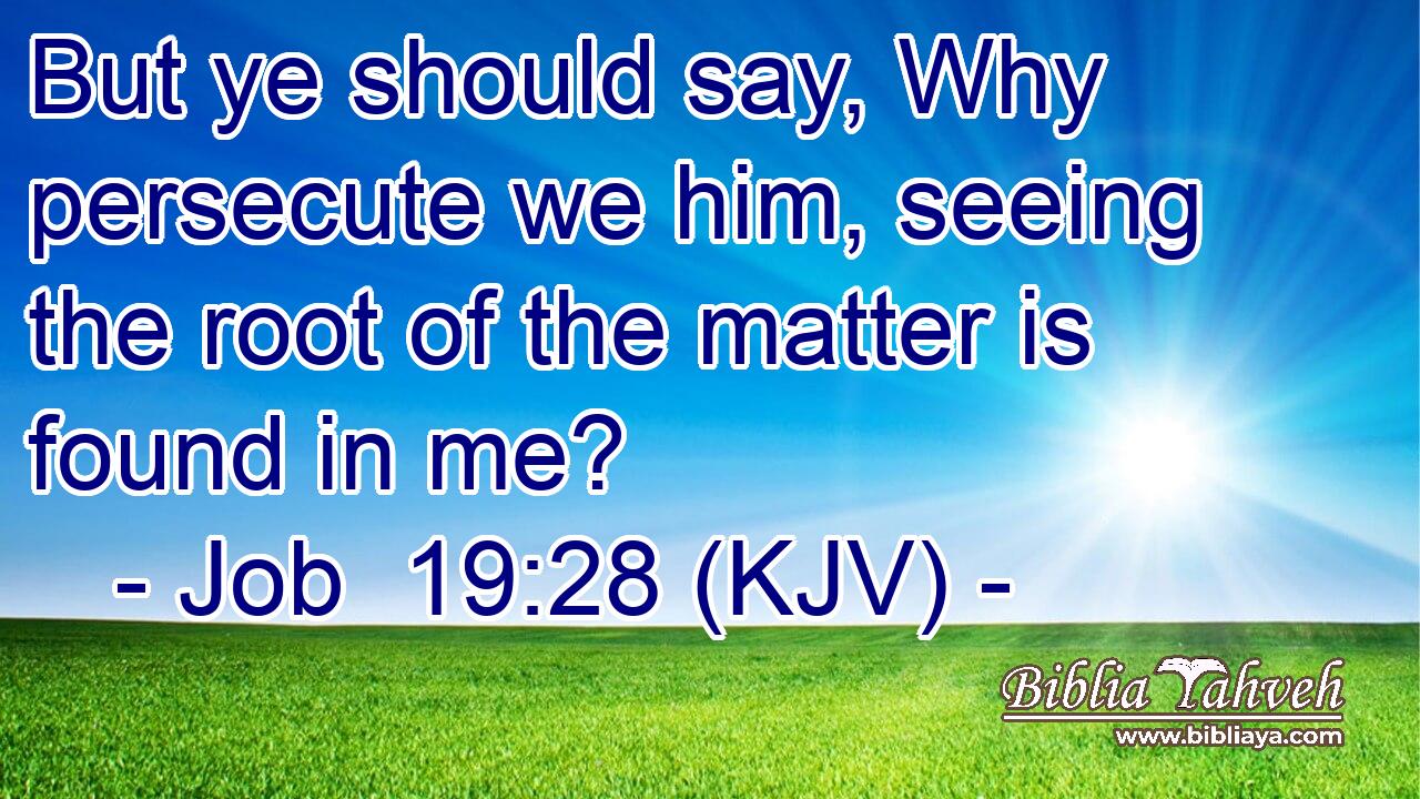 But ye should say, Why persecute we him, seeing the root of the matter is found in me?