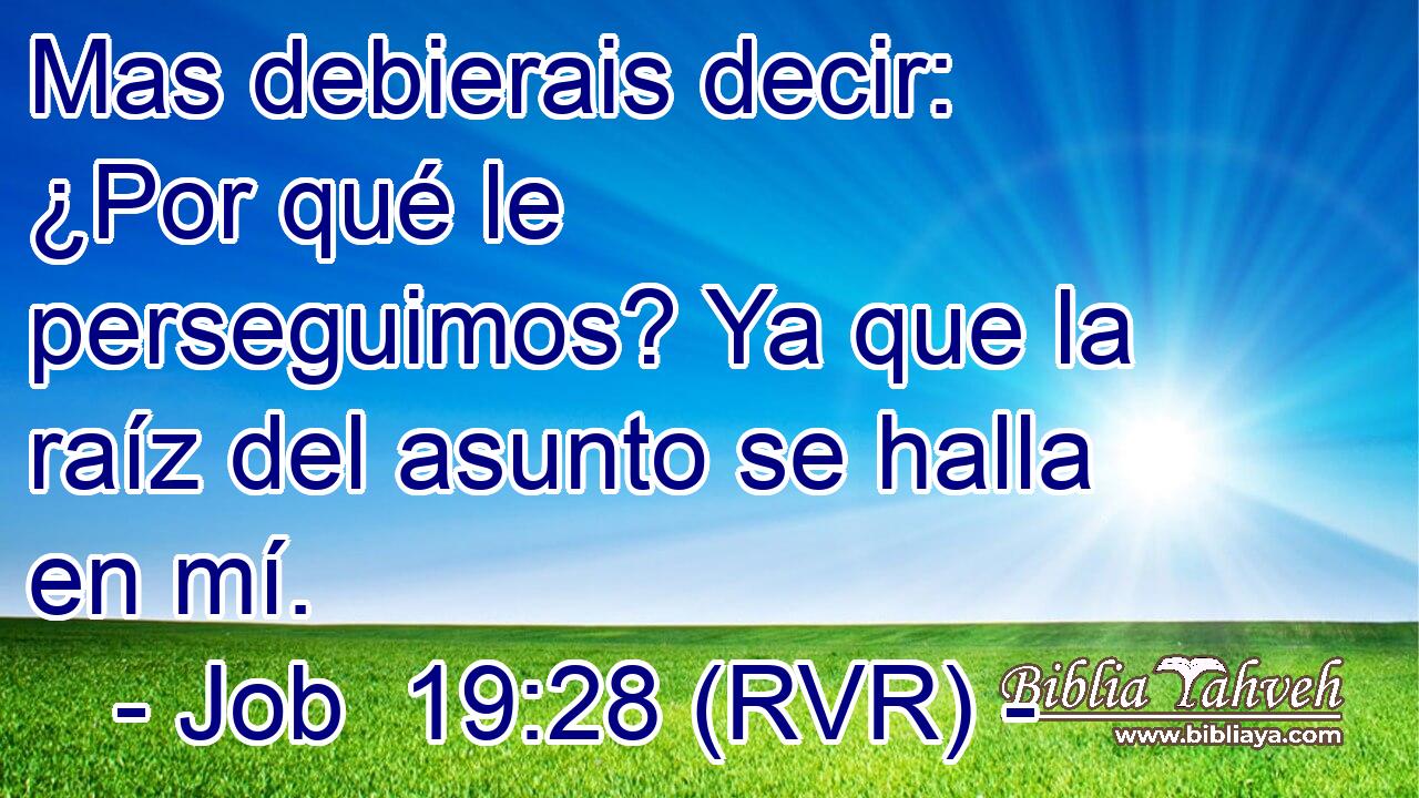 Mas debierais decir: ¿Por qué le perseguimos? Ya que la raíz del asunto se halla en mí.