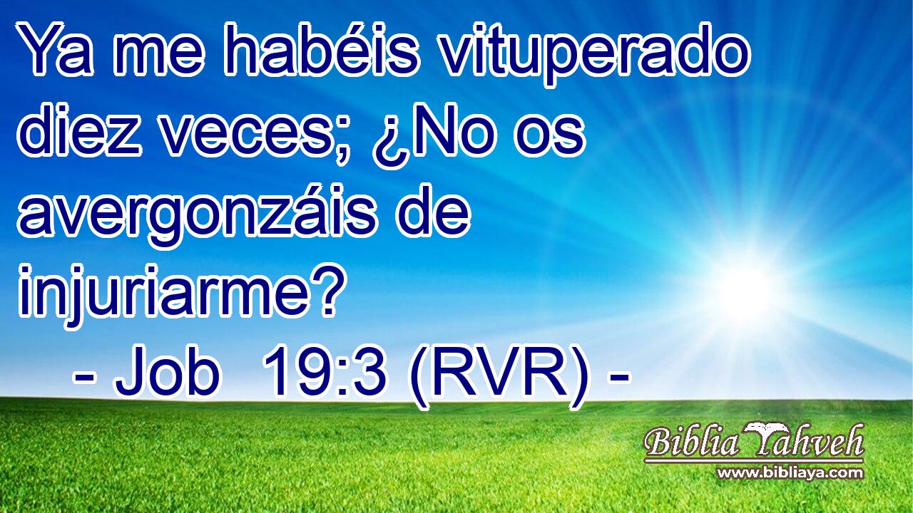 Ya me habéis vituperado diez veces; ¿No os avergonzáis de injuriarme?
