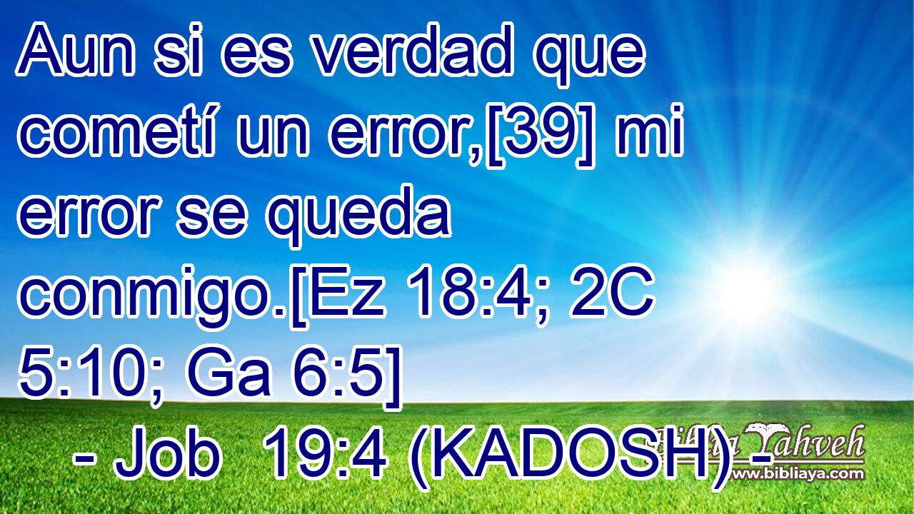  Aun si es verdad que cometí un error,[39] mi error se queda conmigo.[Ez 18:4; 2C 5:10; Ga 6:5] 
