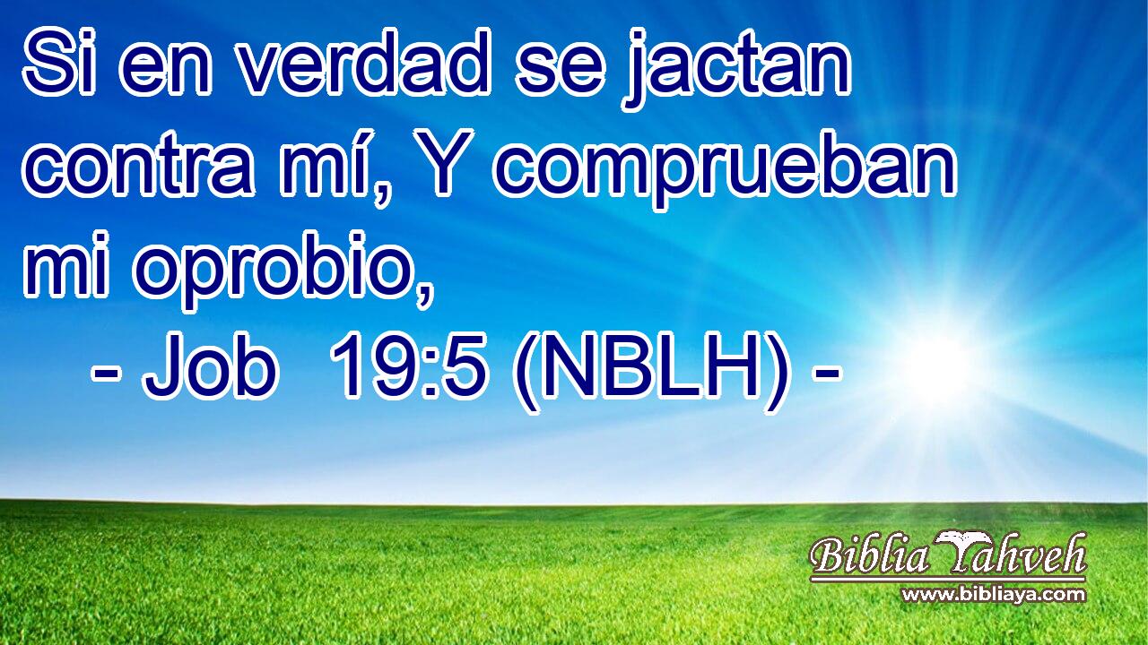 Si en verdad se jactan contra mí, Y comprueban mi oprobio, 