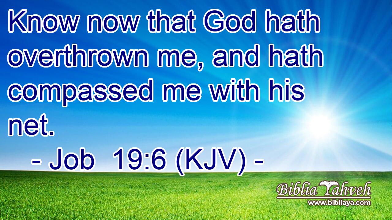 Know now that God hath overthrown me, and hath compassed me with his net.