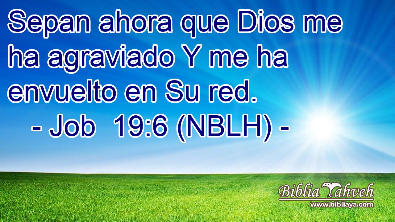  Sepan ahora que Dios me ha agraviado Y me ha envuelto en Su red. 