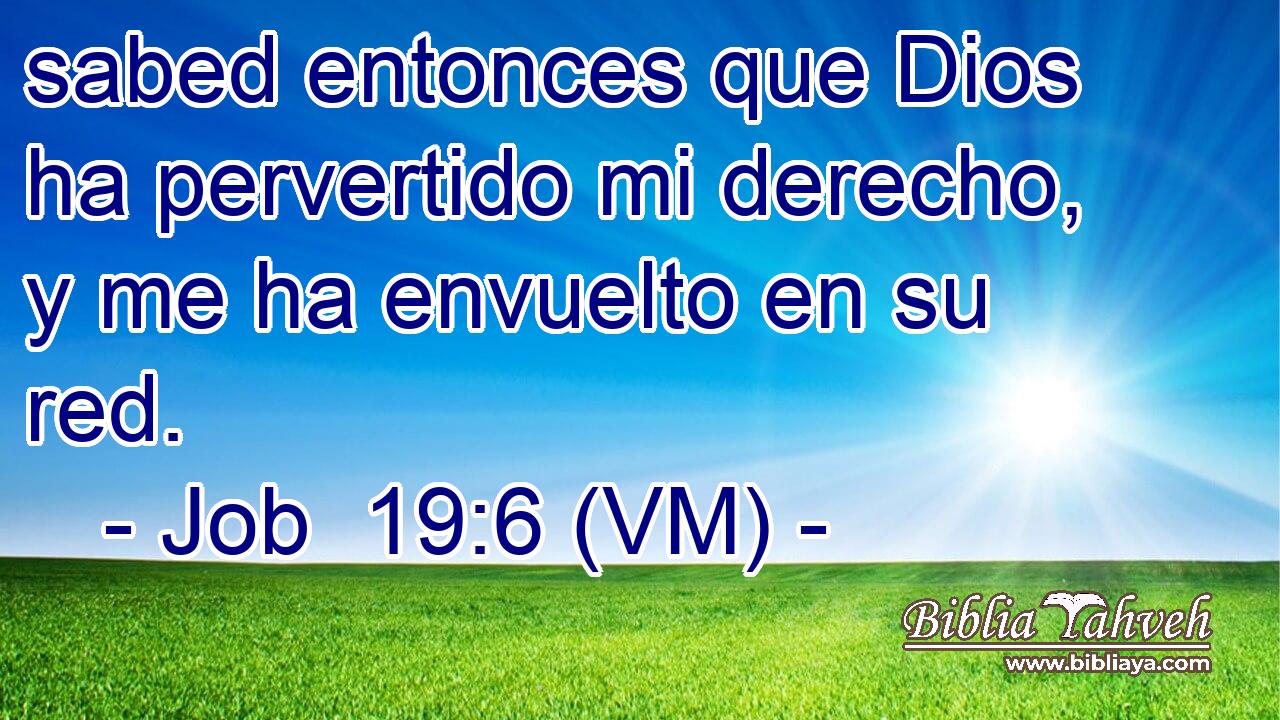  sabed entonces que Dios ha pervertido mi derecho, y me ha envuelto en su red. 