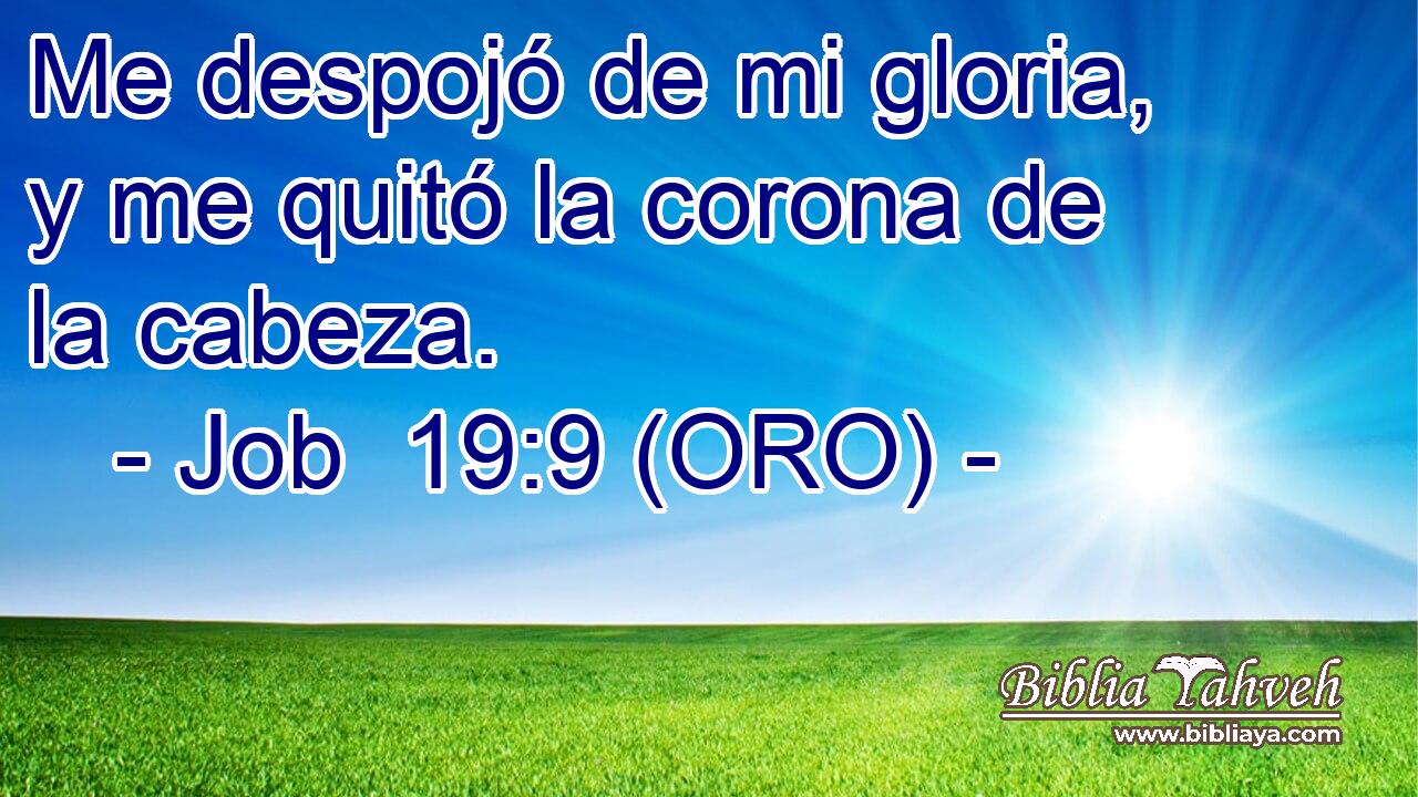  Me despojó de mi gloria, y me quitó la corona de la cabeza. 