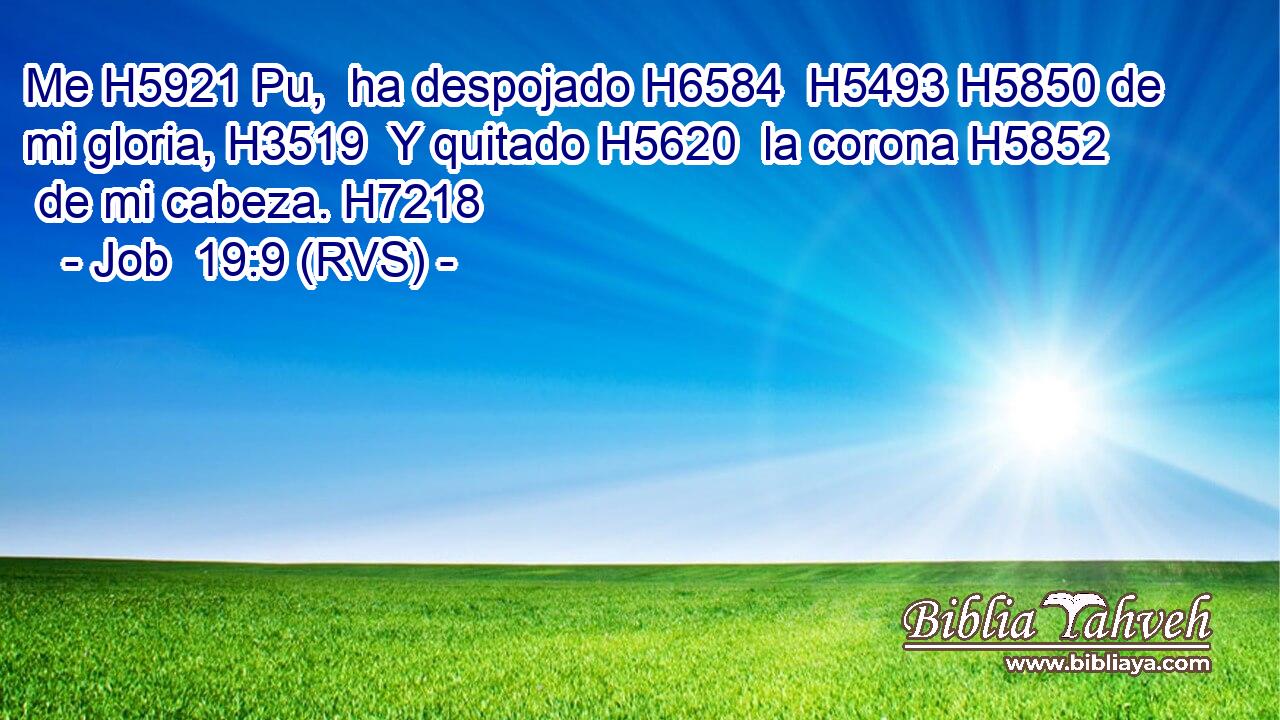 Me H5921 Pu,  ha despojado H6584  H5493 H5850 de mi gloria, H3519  Y quitado H5620  la corona H5852  de mi cabeza. H7218  