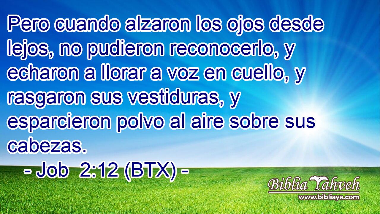 Pero cuando alzaron los ojos desde lejos, no pudieron reconocerlo, y echaron a llorar a voz en cuello, y rasgaron sus vestiduras, y esparcieron polvo al aire sobre sus cabezas.