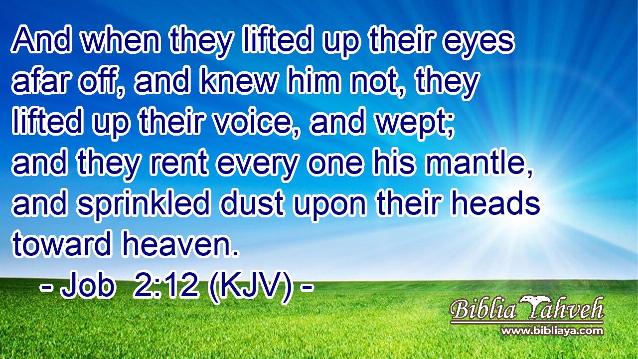 And when they lifted up their eyes afar off, and knew him not, they lifted up their voice, and wept; and they rent every one his mantle, and sprinkled dust upon their heads toward heaven.
