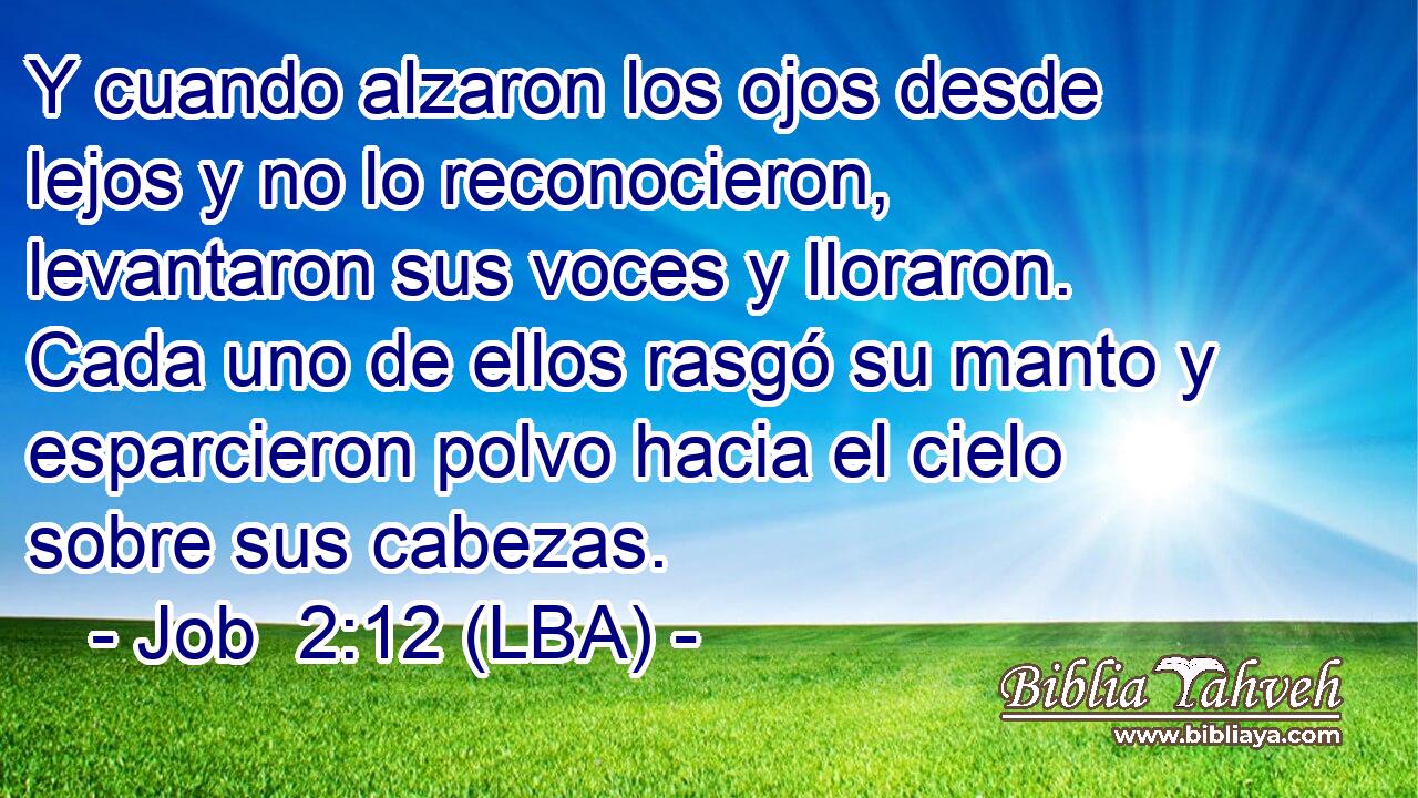 Y cuando alzaron los ojos desde lejos y no lo reconocieron, levantaron sus voces y lloraron. Cada uno de ellos rasgó su manto y esparcieron polvo hacia el cielo sobre sus cabezas.