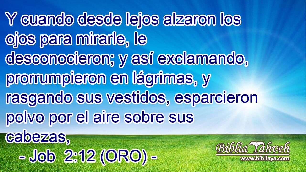  Y cuando desde lejos alzaron los ojos para mirarle, le desconocieron; y así exclamando, prorrumpieron en lágrimas, y rasgando sus vestidos, esparcieron polvo por el aire sobre sus cabezas, 