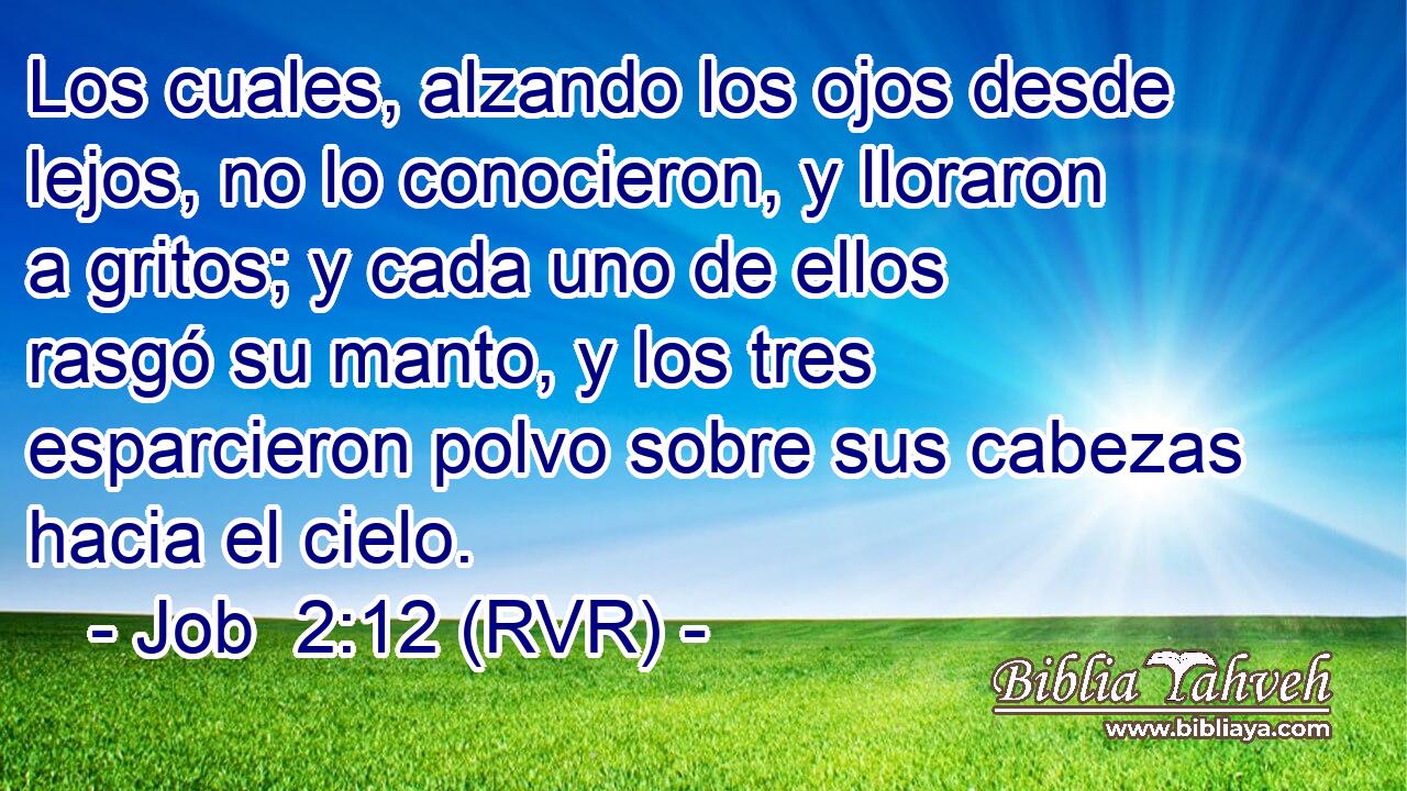 Los cuales, alzando los ojos desde lejos, no lo conocieron, y lloraron a gritos; y cada uno de ellos rasgó su manto, y los tres esparcieron polvo sobre sus cabezas hacia el cielo.