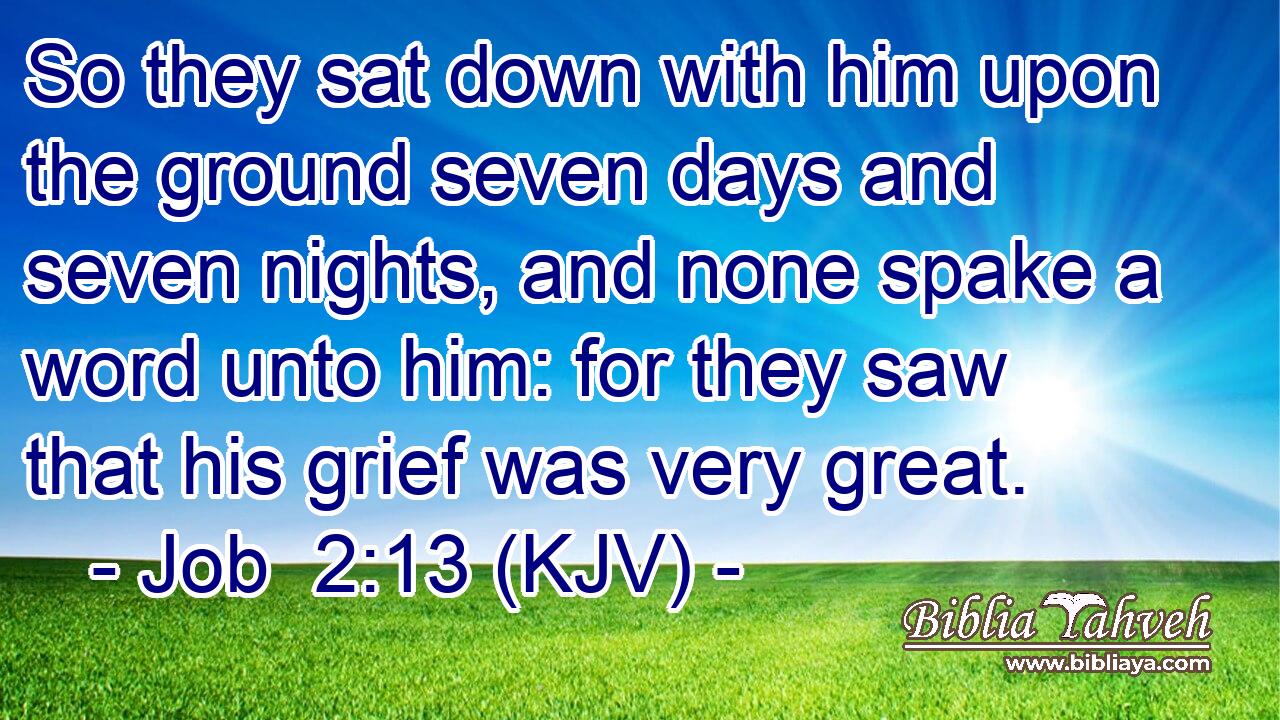 So they sat down with him upon the ground seven days and seven nights, and none spake a word unto him: for they saw that his grief was very great.