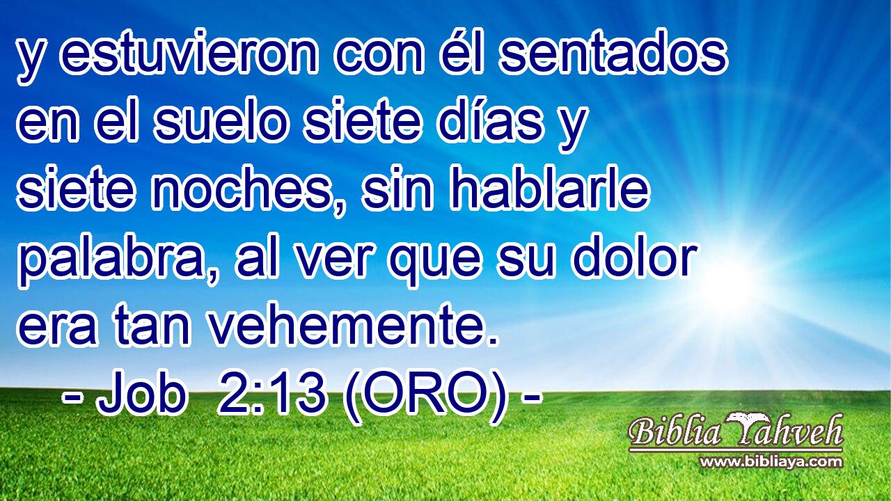  y estuvieron con él sentados en el suelo siete días y siete noches, sin hablarle palabra, al ver que su dolor era tan vehemente. 