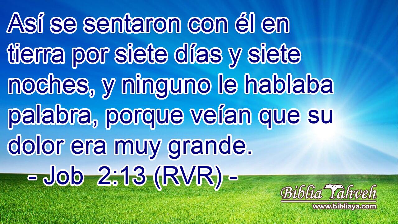 Así se sentaron con él en tierra por siete días y siete noches, y ninguno le hablaba palabra, porque veían que su dolor era muy grande.