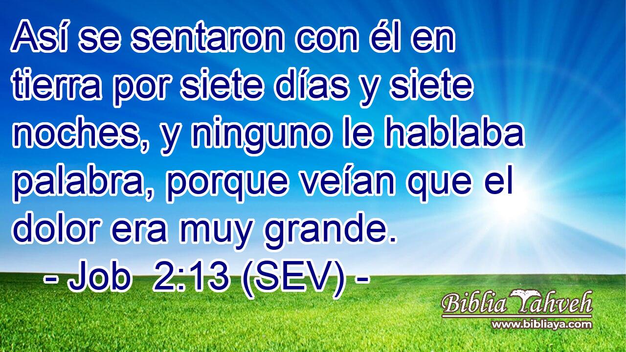 Así se sentaron con él en tierra por siete días y siete noches, y ninguno le hablaba palabra, porque veían que el dolor era muy grande.