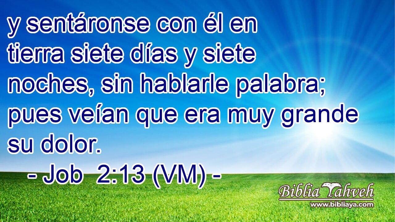  y sentáronse con él en tierra siete días y siete noches, sin hablarle palabra; pues veían que era muy grande su dolor. 