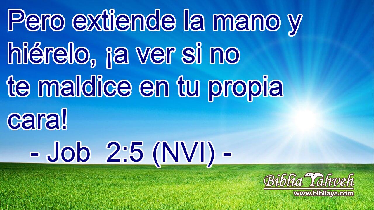  Pero extiende la mano y hiérelo, ¡a ver si no te maldice en tu propia cara! 