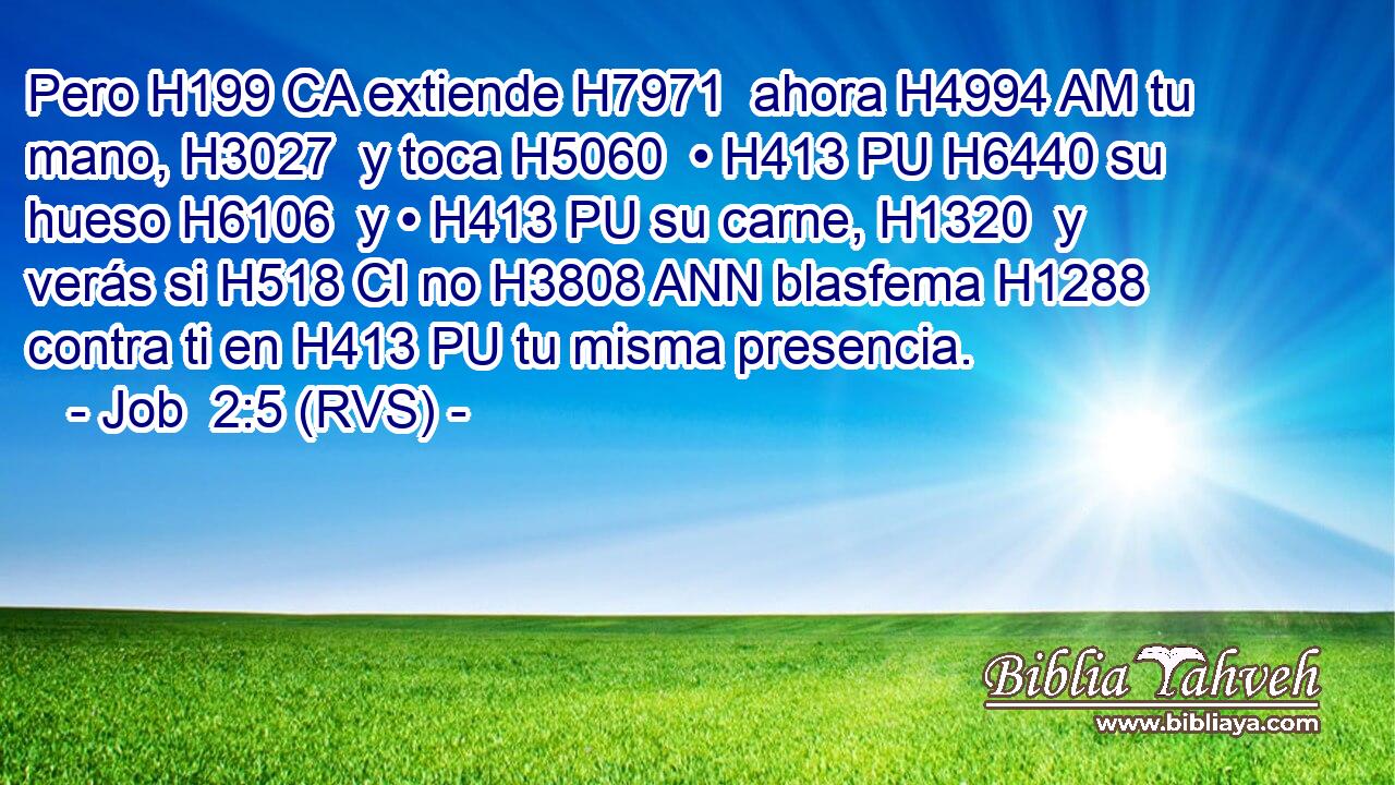Pero H199 CA extiende H7971  ahora H4994 AM tu mano, H3027  y toca H5060  • H413 PU H6440 su hueso H6106  y • H413 PU su carne, H1320  y verás si H518 CI no H3808 ANN blasfema H1288  contra ti en H413 PU tu misma presencia. 