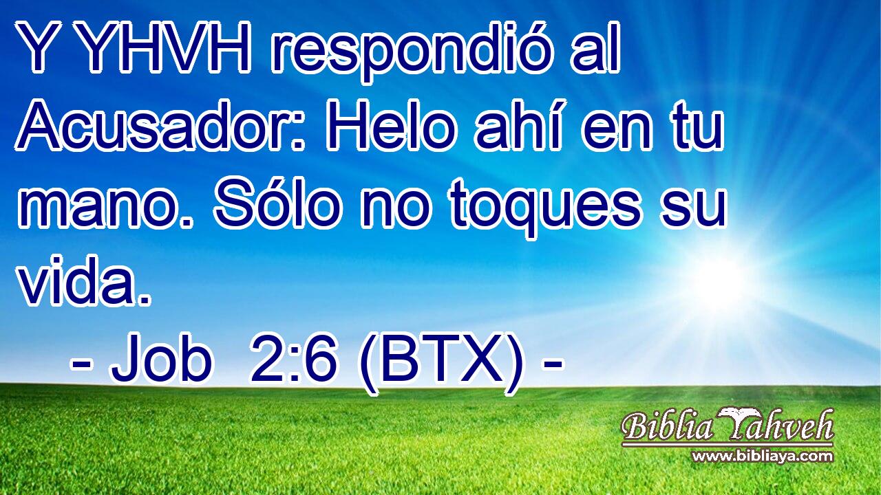 Y YHVH respondió al Acusador: Helo ahí en tu mano. Sólo no toques su vida.