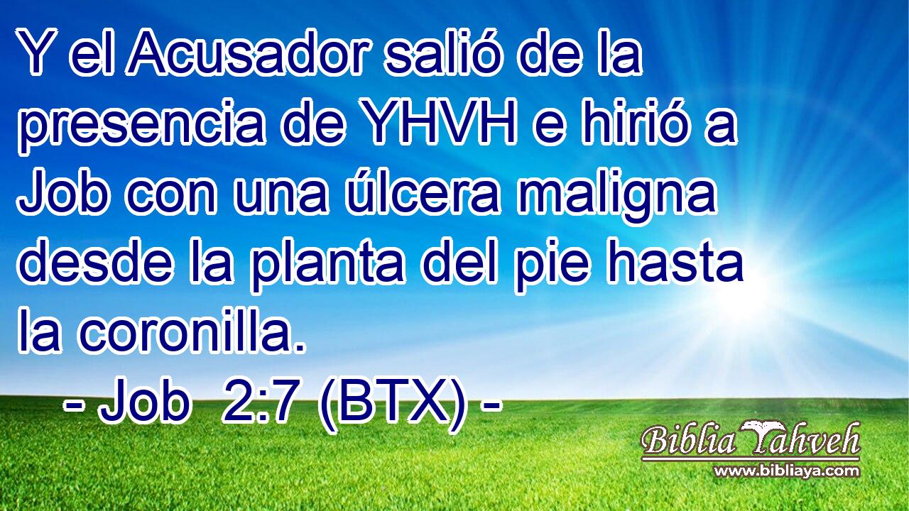 Y el Acusador salió de la presencia de YHVH e hirió a Job con una úlcera maligna desde la planta del pie hasta la coronilla.