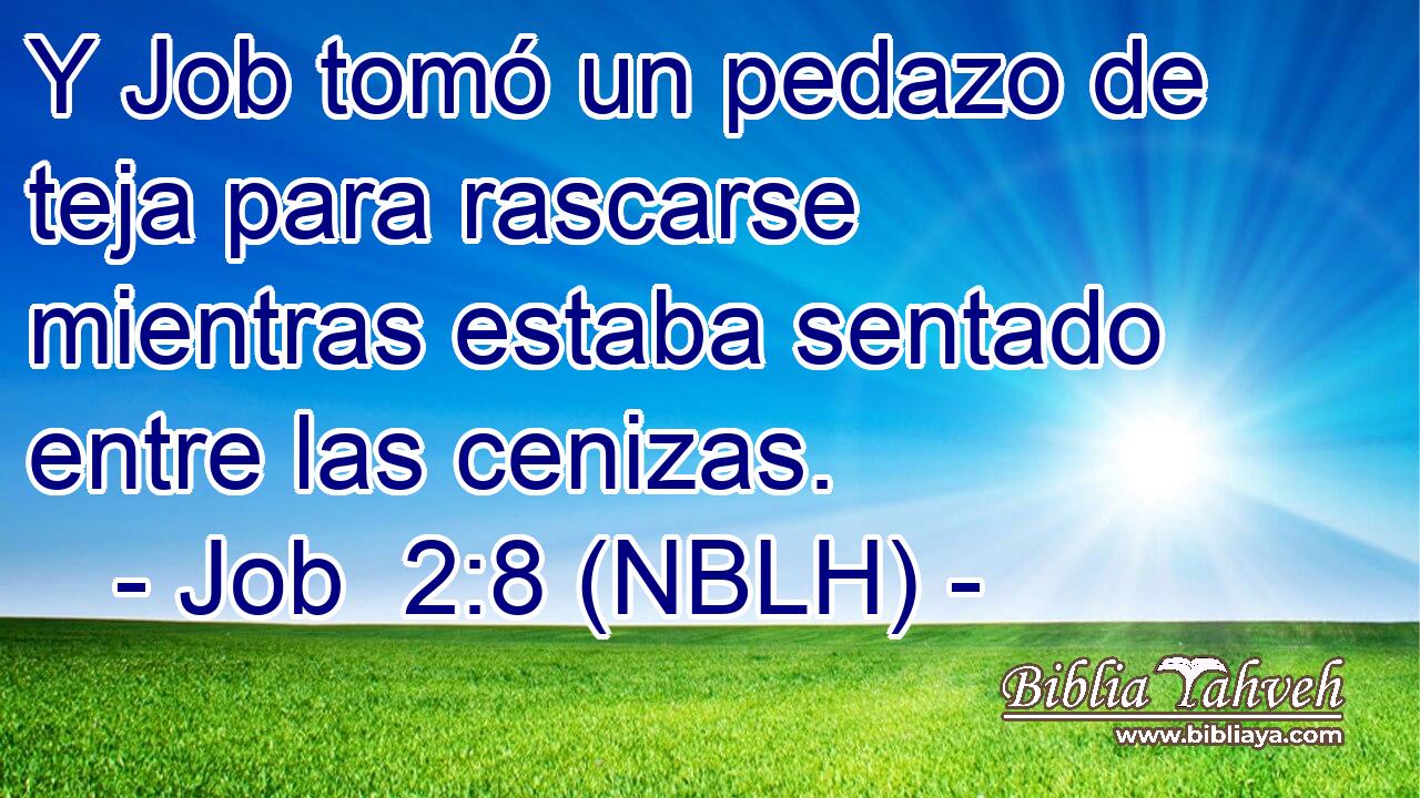  Y Job tomó un pedazo de teja para rascarse mientras estaba sentado entre las cenizas. 