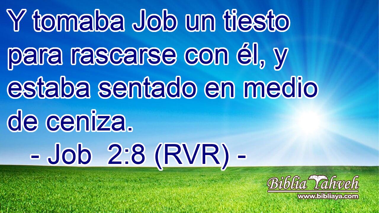 Y tomaba Job un tiesto para rascarse con él, y estaba sentado en medio de ceniza.