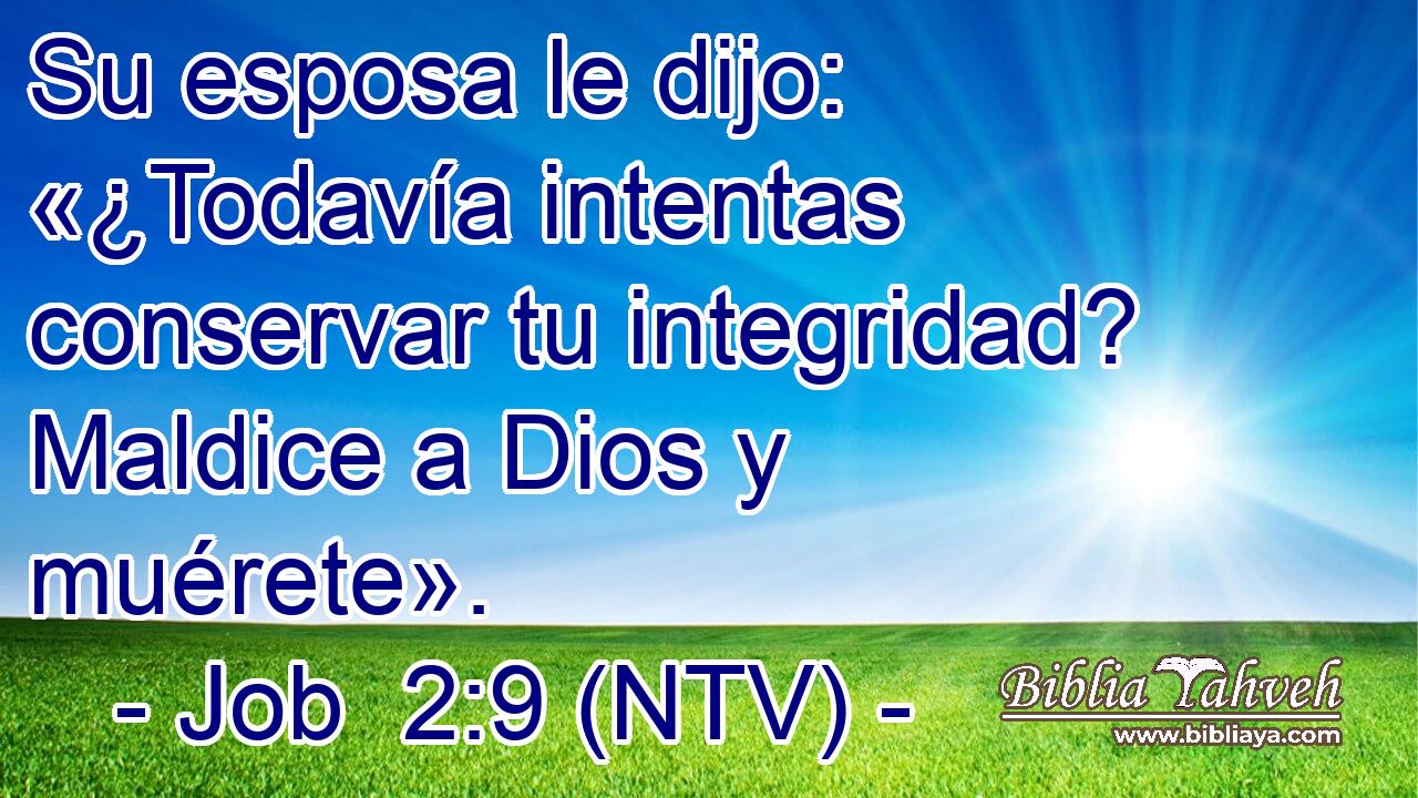 Su esposa le dijo: «¿Todavía intentas conservar tu integridad? Maldice a Dios y muérete».