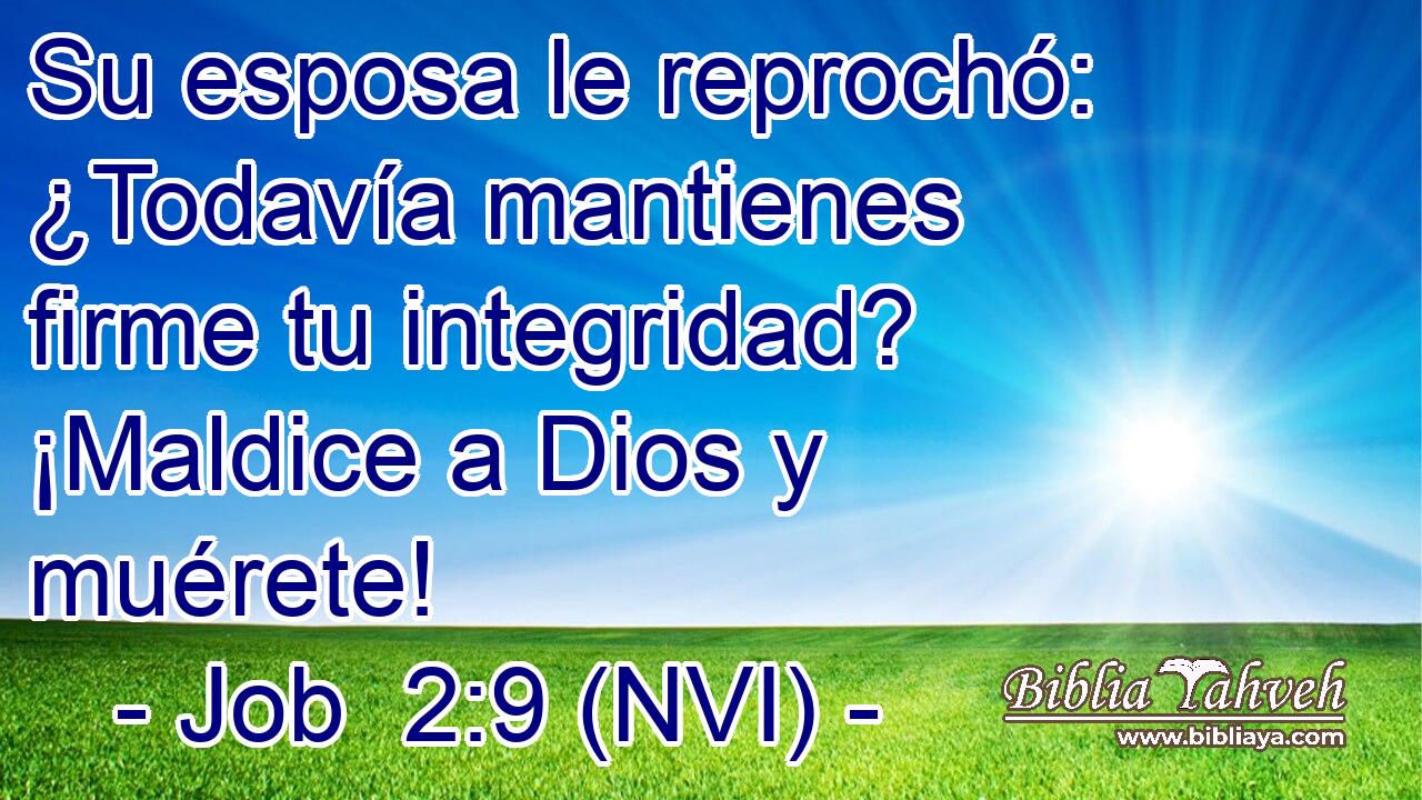  Su esposa le reprochó: ¿Todavía mantienes firme tu integridad? ¡Maldice a Dios y muérete! 