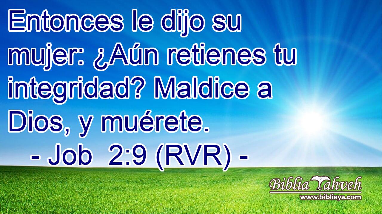 Entonces le dijo su mujer: ¿Aún retienes tu integridad? Maldice a Dios, y muérete.