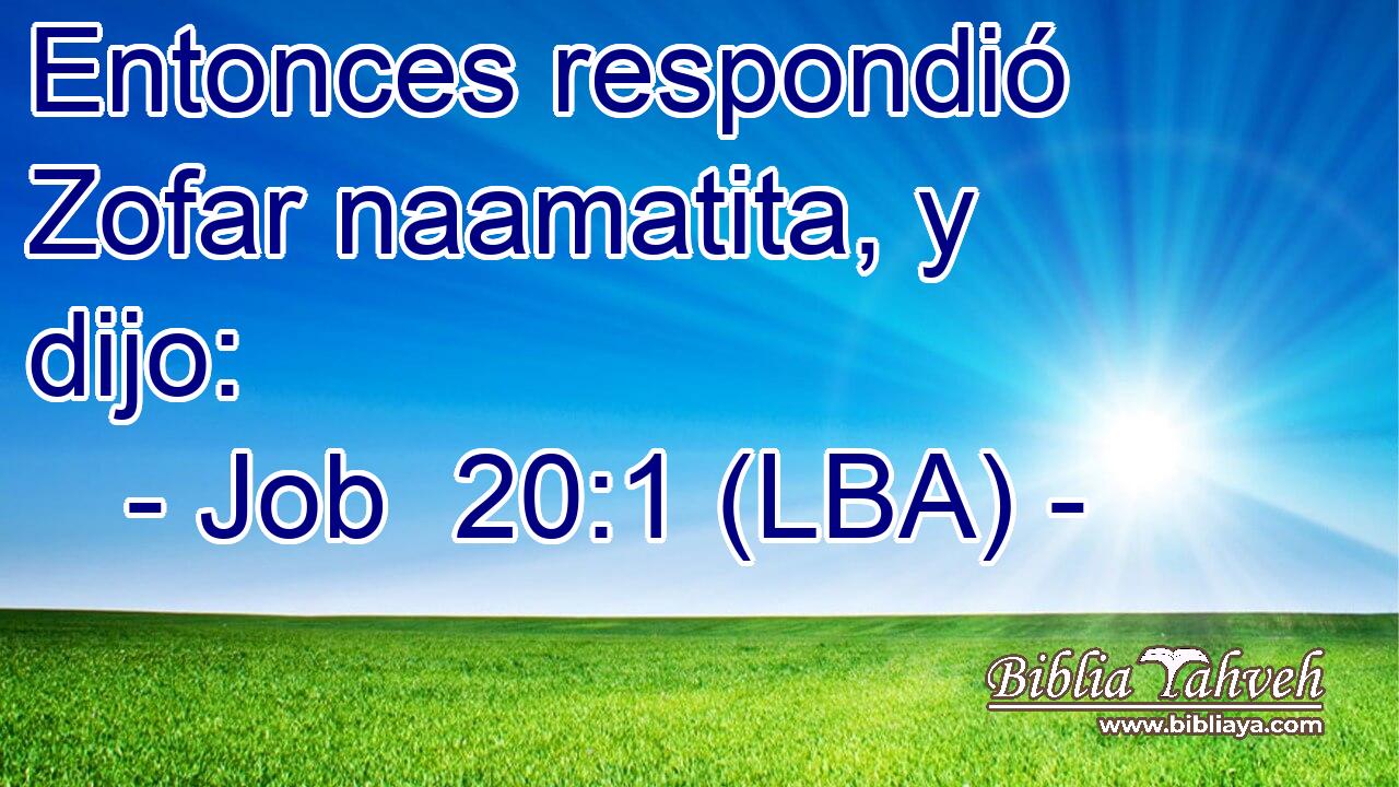Entonces respondió Zofar naamatita, y dijo: