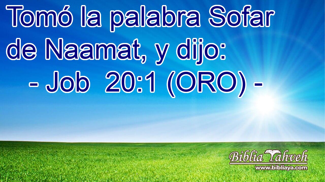  Tomó la palabra Sofar de Naamat, y dijo: 