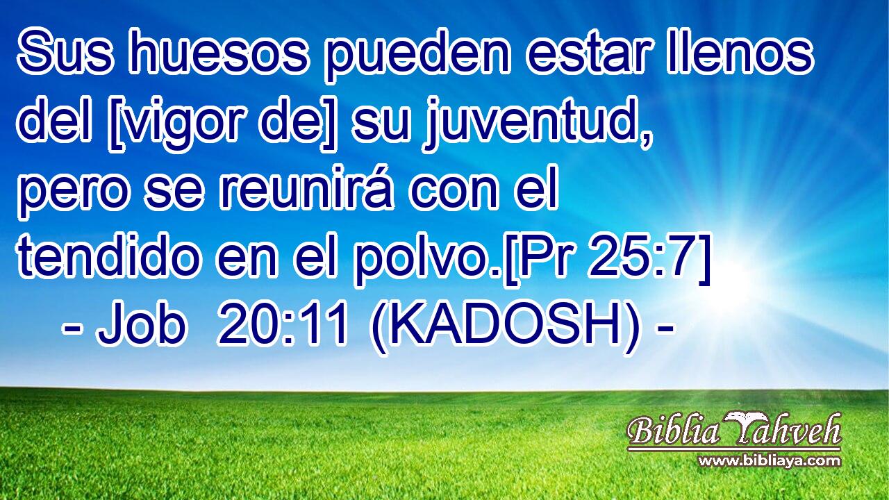  Sus huesos pueden estar llenos del [vigor de] su juventud, pero se reunirá con el tendido en el polvo.[Pr 25:7] 